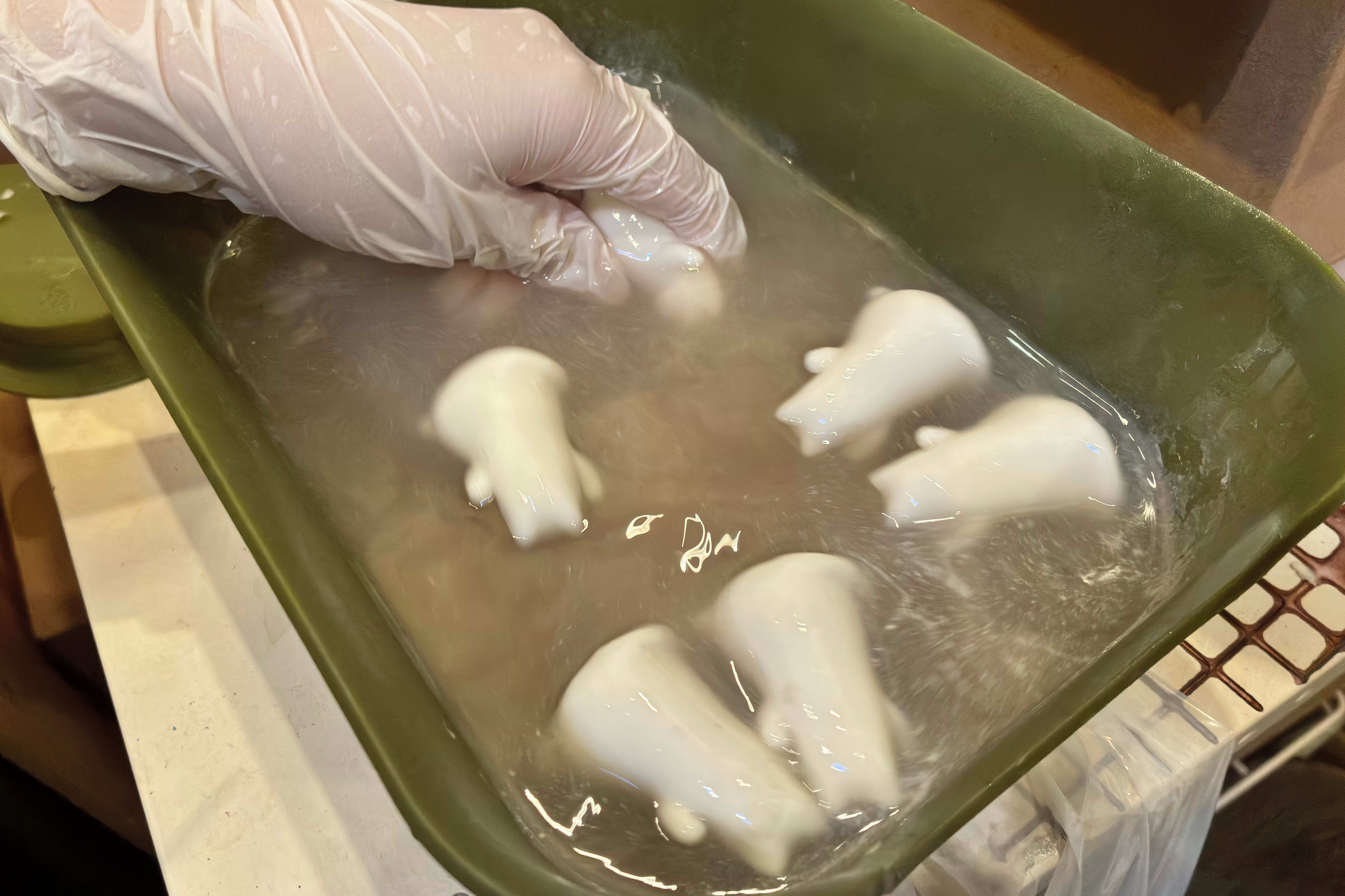 手袋を着用しながら、緑箱の中に水でイヤサー猫を洗うこと